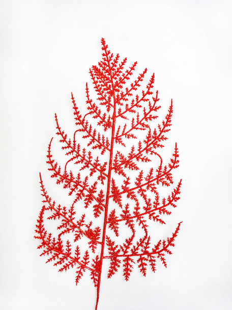 Folhas vermelhas no dia de Natal, textura da folha é espumante, fundo branco
 - Foto, Imagem