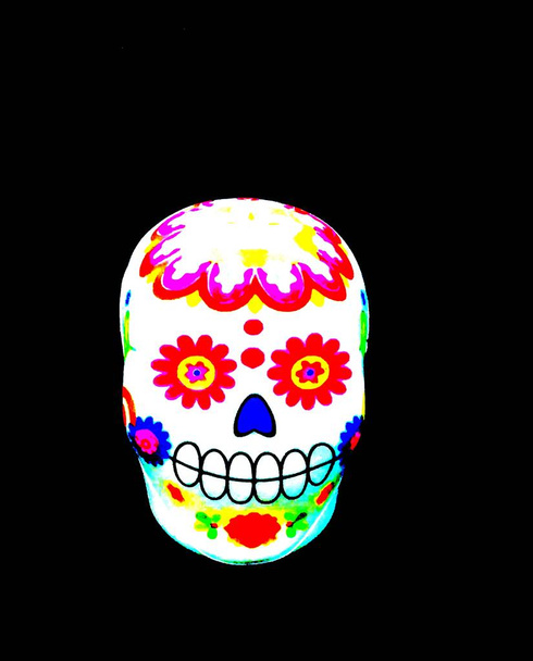cráneo sobre fondo negro - Foto, Imagen