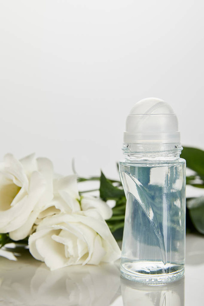 rolki na butelce dezodorantu z róż izolowanych na białym - Zdjęcie, obraz