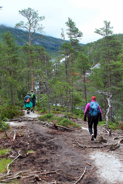ノルウェー、キンサルヴィークのフセダレン渓谷でのハイキング - 写真・画像