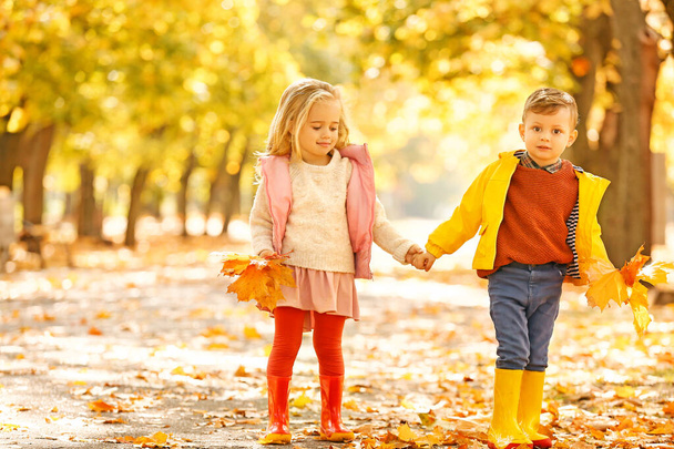 Cute little children with leaves in park on autumn day - Photo, Image