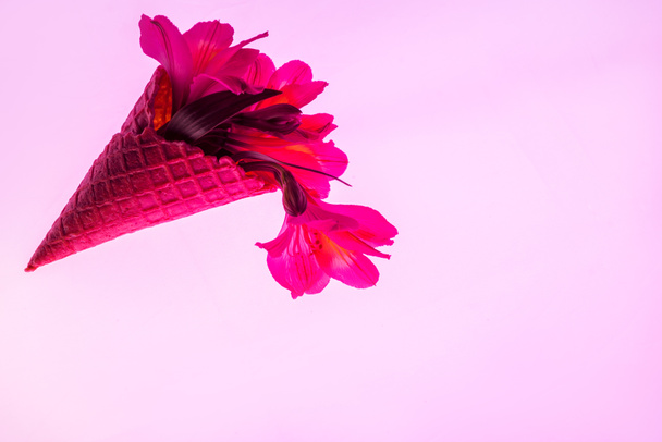 blooming flowers in sweet ice cream cone isolated on pink  - Fotó, kép