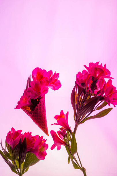 Tatlı dondurma külahındaki çiçekler Pembe üzerine izole edilmiş  - Fotoğraf, Görsel
