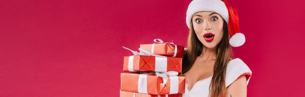shocked sexy beautiful santa girl holding gift boxes isolated on burgundy, panoramic shot - 写真・画像