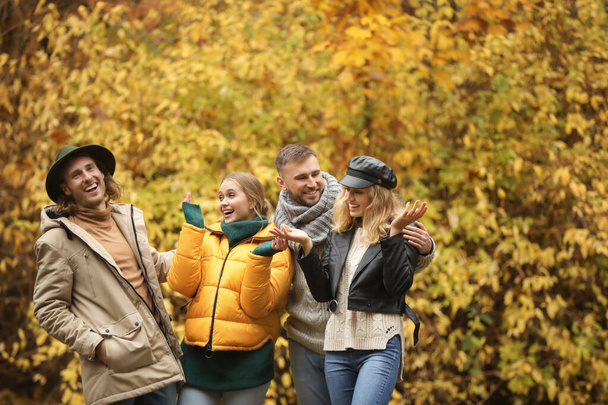 Grupa przyjaciół spaceru w parku jesień - Zdjęcie, obraz