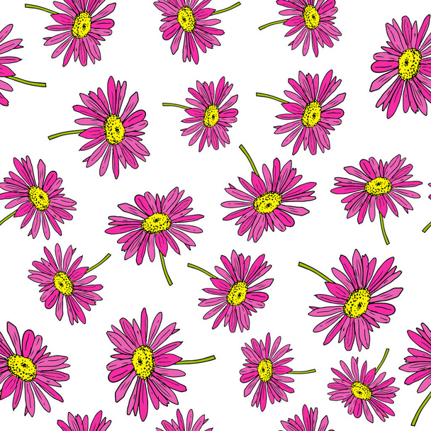 Pyrethrum daisy seamless pattern on white background - Διάνυσμα, εικόνα