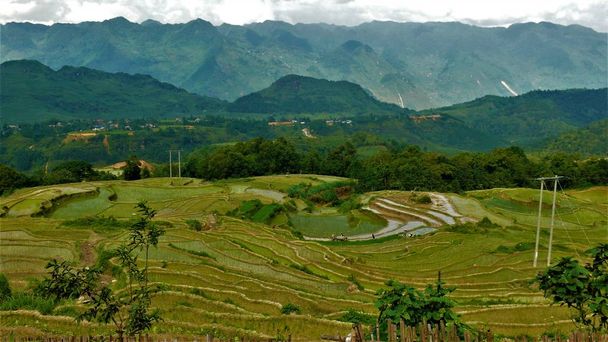 Landscape of North Vietnam, Mountains, Rice fields.  - Foto, Imagem