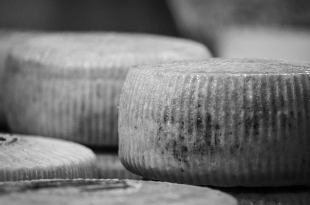 mix artisanal cheese close up view - Photo, Image