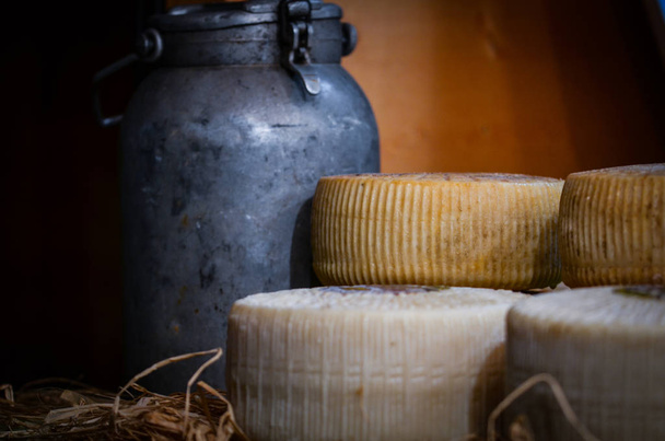 mix artisanal cheese close up view - Photo, Image