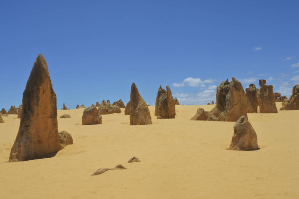 Вершины пустыни недалеко от Перта в Западной Австралии
  - Фото, изображение