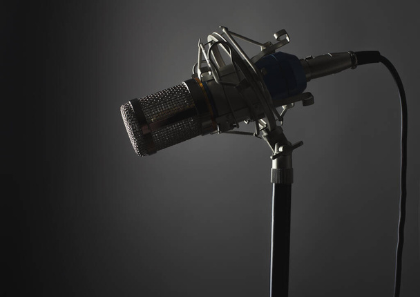 metallo corpo microfono scuro grigio sfondo studio girato - Foto, immagini