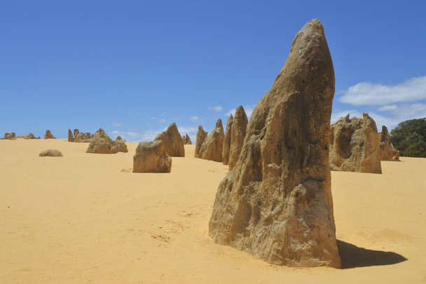 西オーストラリアのパース近くのピナクルズ砂漠  - 写真・画像