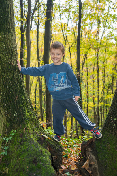 Çocuk dışarıda ağaca tırmanıyor. Küçük dağcı. - Fotoğraf, Görsel