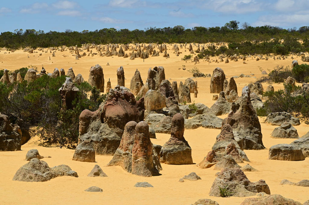 De pinnacles woestijn nabij Perth in West-Australië  - Foto, afbeelding