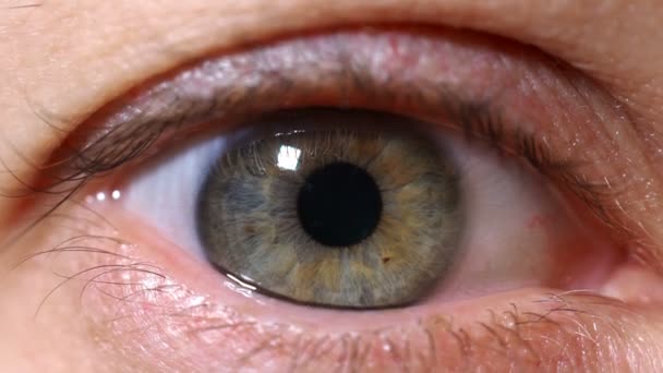 Close-up van menselijke ogen vernauwde pupil. Oog iris. - Video