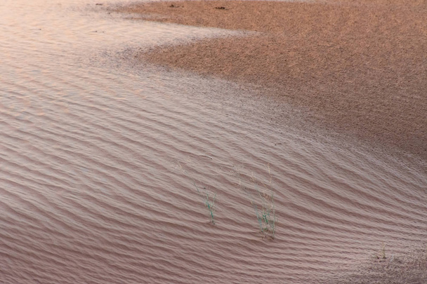 Wüste bei Sonnenuntergang bringt gelben Sand hervor und unterstreicht die Tierspuren über das Wellenmuster im Sand. - Foto, Bild