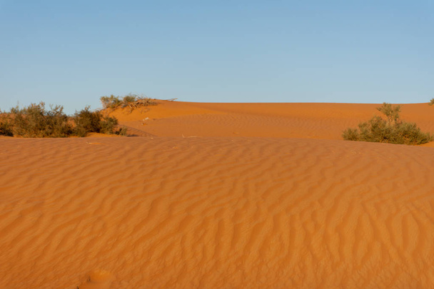 Güneş doğarken çöl koyu turuncu renkli kumları ortaya çıkarır ve Birleşik Arap Emirlikleri 'nde büyük bir çöl manzarası oluşturur.. - Fotoğraf, Görsel