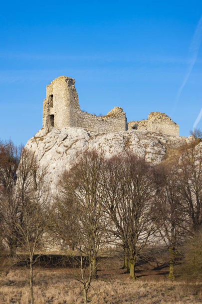 Sirotci hradek ruins on Palava region, South Moravia, Czech Repu - Photo, Image