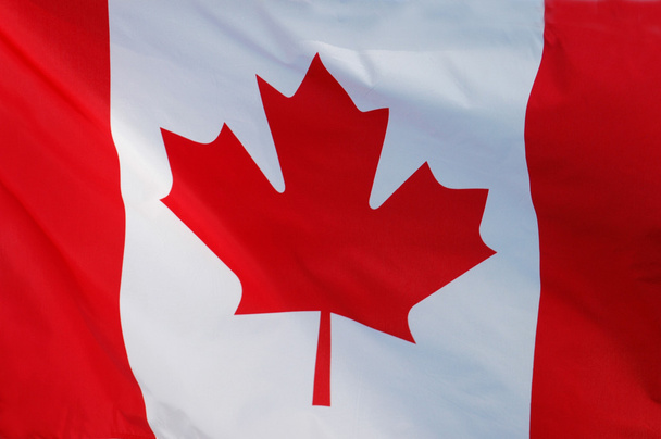 カナダ国旗 - 写真・画像