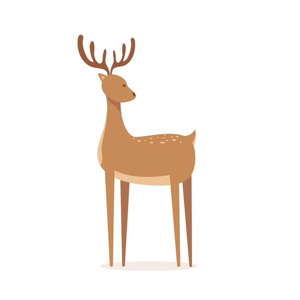 Cute Deer on White Background - Вектор, зображення