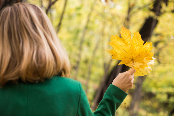 Mujer sosteniendo hojas de otoño y disfrutar en otoño mientras está de pie en el parque
. - Foto, imagen