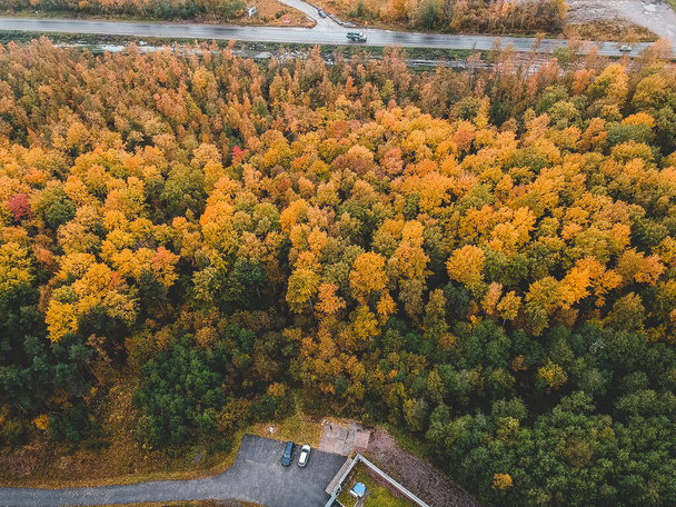 tűlevelű és lombhullató erdők, fenyő, fenyő, ősz légifotója. Északi táj. - Fotó, kép