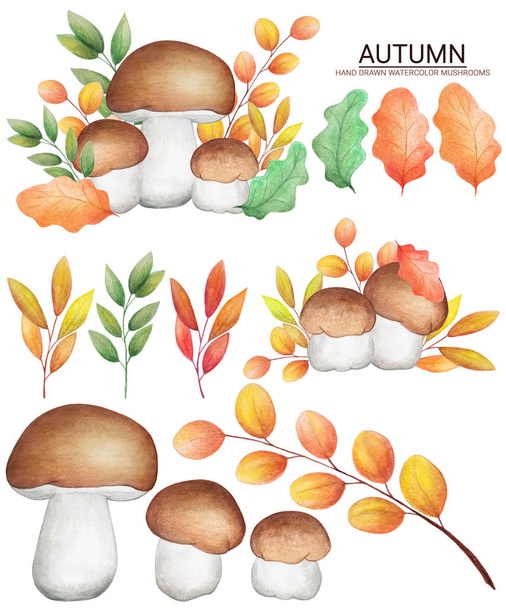 Autumn set watercolor mushrooms with leaves. Decorative hand dra - Photo, Image