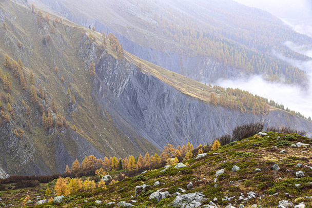 Los colores del otoño en las montañas
. - Foto, imagen