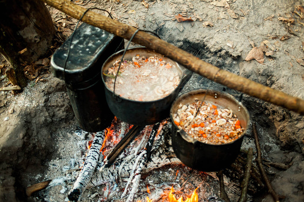 https://cdn.create.vista.com/api/media/small/318922140/stock-photo-cooking-tasty-food-campfire-forest