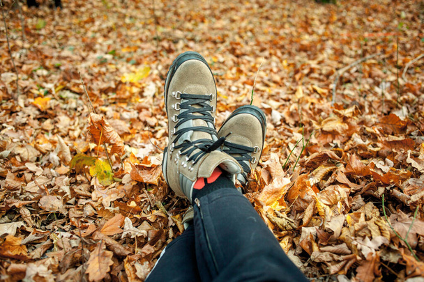 naisten kengät syksyllä puistossa
. - Valokuva, kuva