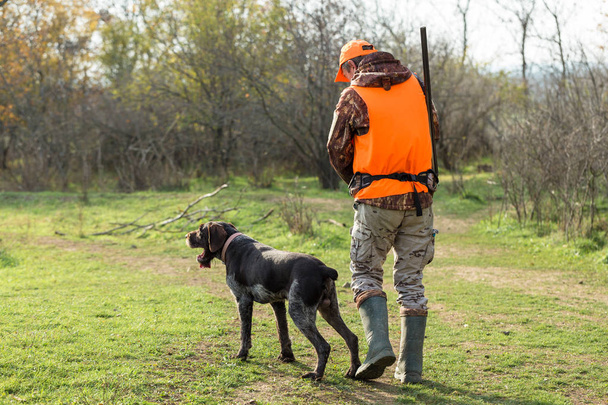 Человек с пистолетом в руках и оранжевым жилетом на охоте на фазанов в лесистой местности в пасмурную погоду. Охотник с собаками в поисках дичи. - Фото, изображение