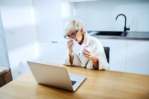 Ill attractive caucasian blond senior woman covered with blanket holding mug with tea, wiping nose and looking at laptop while sitting at dining table. - Fotografie, Obrázek