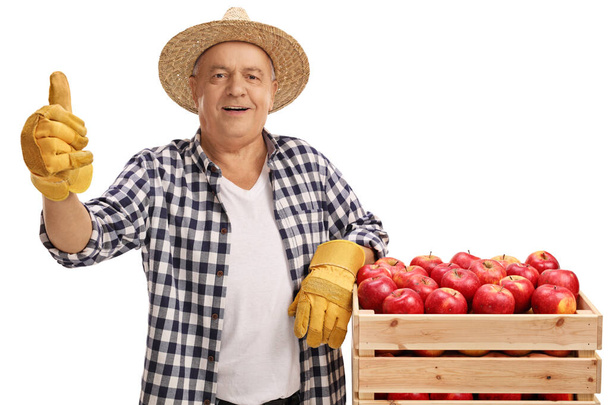 Mature farmer with a crate of apples - Foto, afbeelding