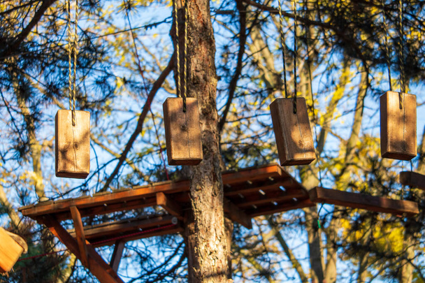 Çocukların tırmanma halatları ve ağaçlara olan düşkünlüğü - Fotoğraf, Görsel