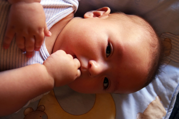 Baby нарізки
 - Фото, зображення