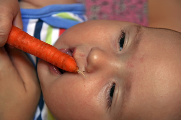 Bébé grignoter la carotte
 - Photo, image