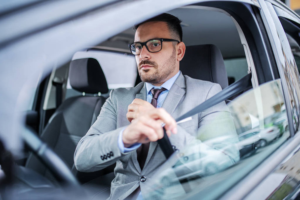 Atrakcyjny biały z klasą poważny biznesmen w garniturze i okularach zapinających pasy bezpieczeństwa w samochodzie. - Zdjęcie, obraz