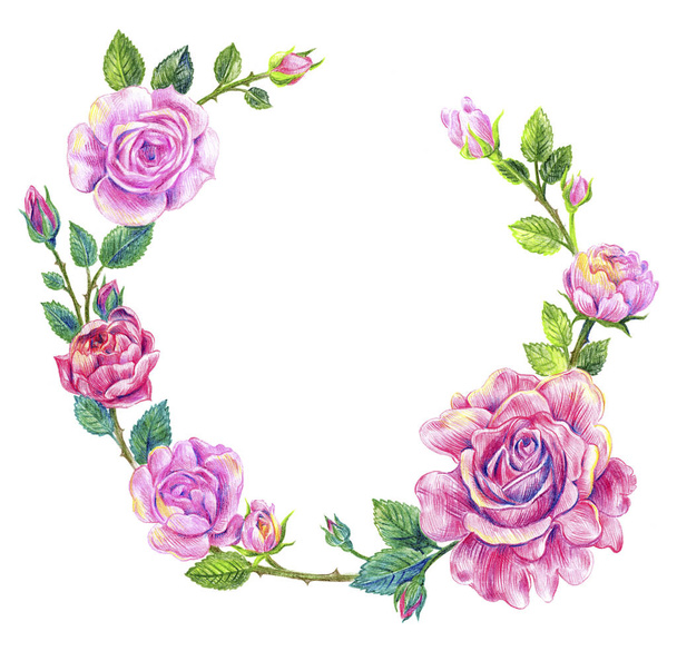 English pink roses  - Photo, Image