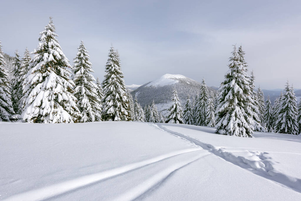 Fantastic winter landscape - Foto, Bild