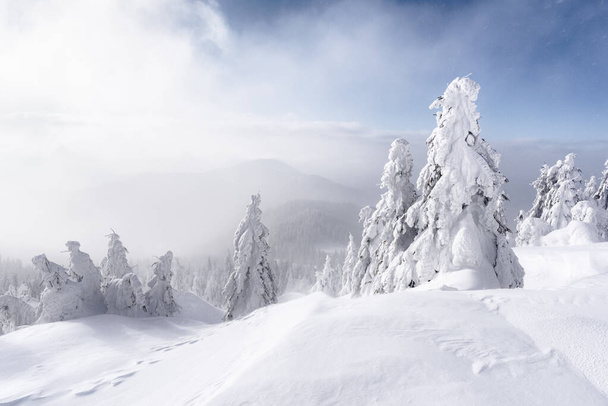 Traumhafte Winterlandschaft - Foto, Bild