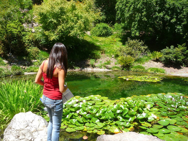 Frau blickt über einen Teich in Berkeley, Kalifornien. Sommer 2011.  - Foto, Bild