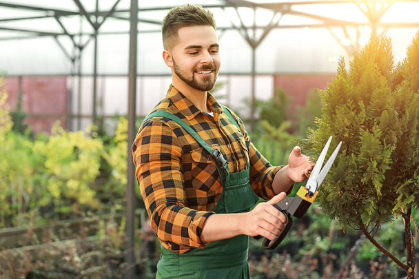 Pohledný mužský zahradník pracující ve skleníku - Fotografie, Obrázek