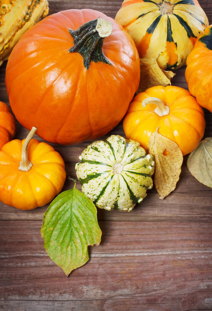 Pumpkins and squashes and autumn leaves - Foto, imagen