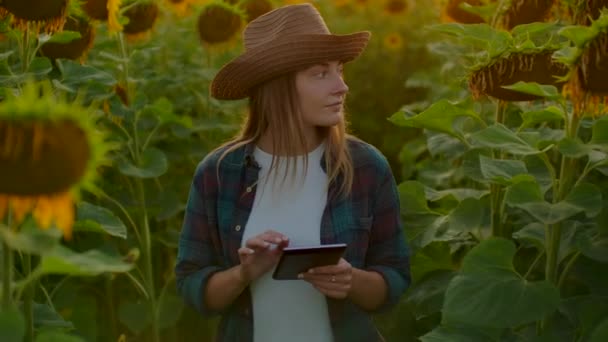 Bäuerin arbeitet auf dem Feld mit gelben Sonnenblumen - Filmmaterial, Video