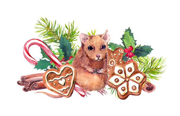 Mouse with Christmas symbols watercolor illustration. Cute brown rat near ginger cookies, fir branches and mistletoe twigs. Aquarelle cinnamon sticks, candy cane with new year mascot - 写真・画像