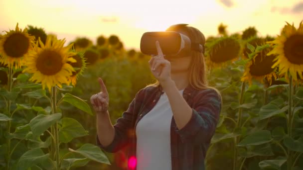 Die Bäuerin arbeitet in einer Vr-Brille auf dem Sonnenblumenfeld - Filmmaterial, Video