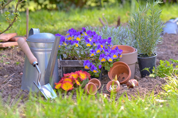 gardening equipment and flowerpots put on the soil in a garden  - Photo, Image