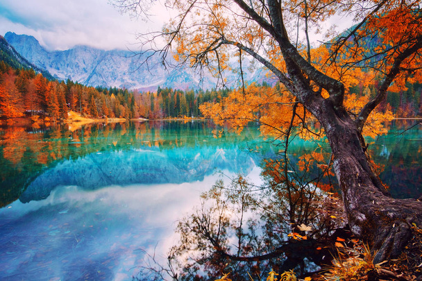 Jezero Fusine - Lago di Fusine - v severní Itálii v Alpách. - Fotografie, Obrázek