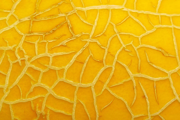 melon background closeup macro texture - Фото, зображення