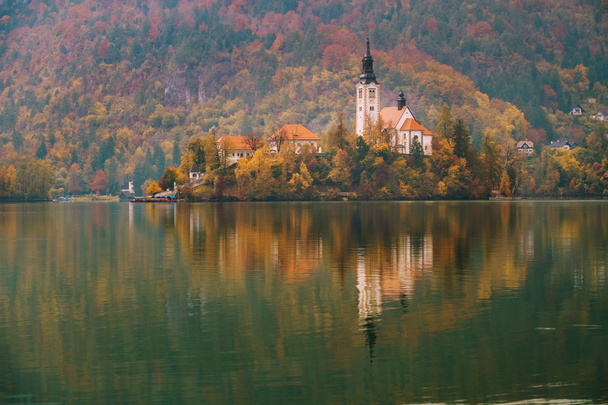 λίμνη αφαίμαξη στη Σλοβενία - Φωτογραφία, εικόνα